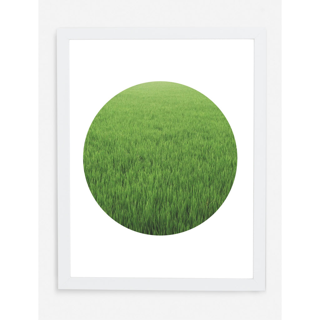GRASSY ASS