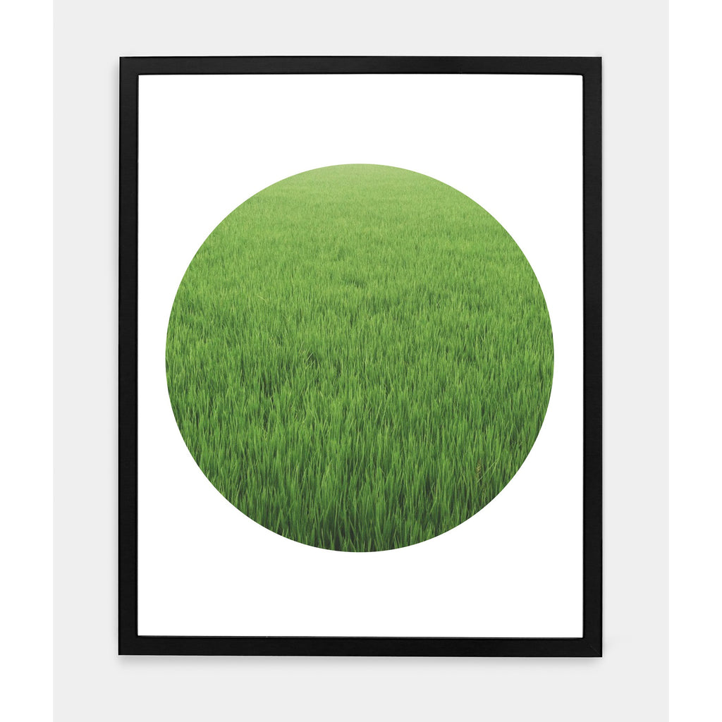 GRASSY ASS
