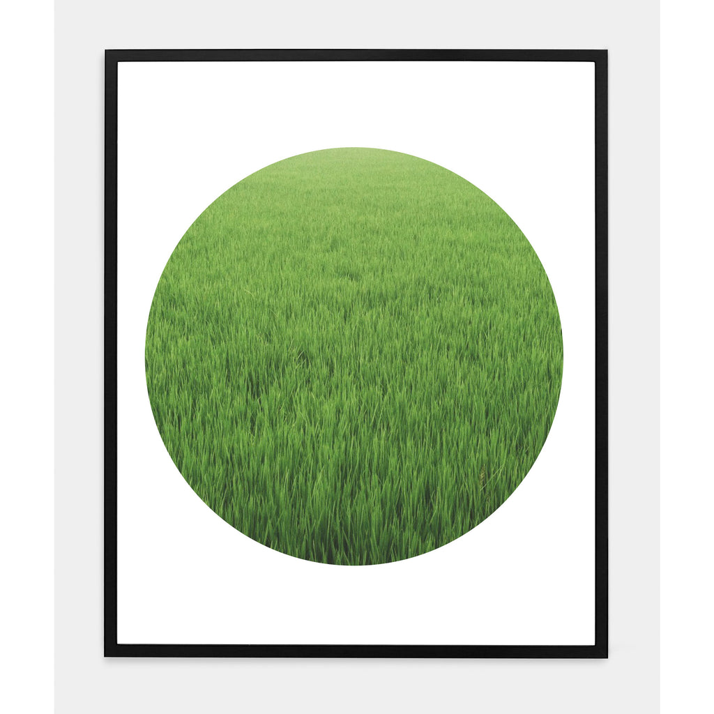 GRASSY ASS