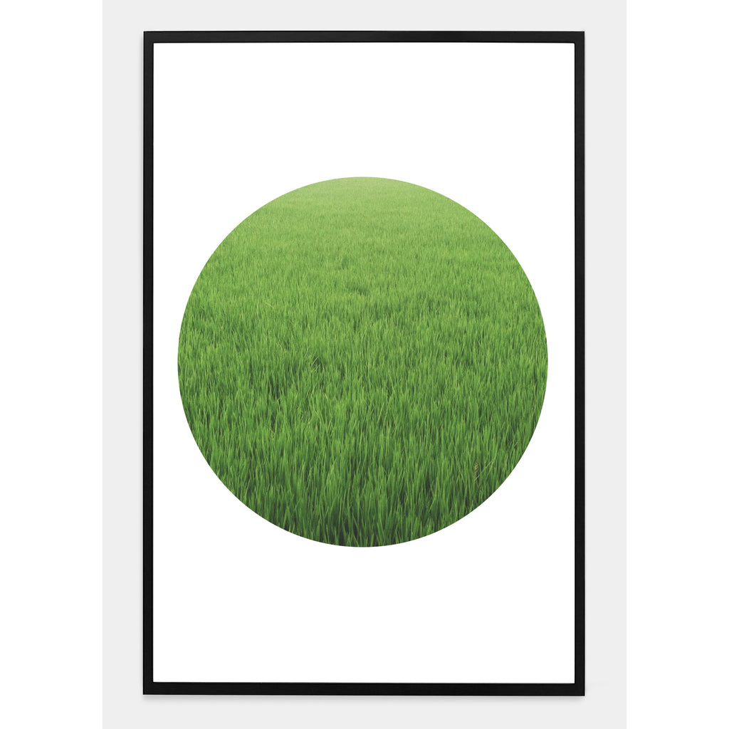 GRASSY ASS