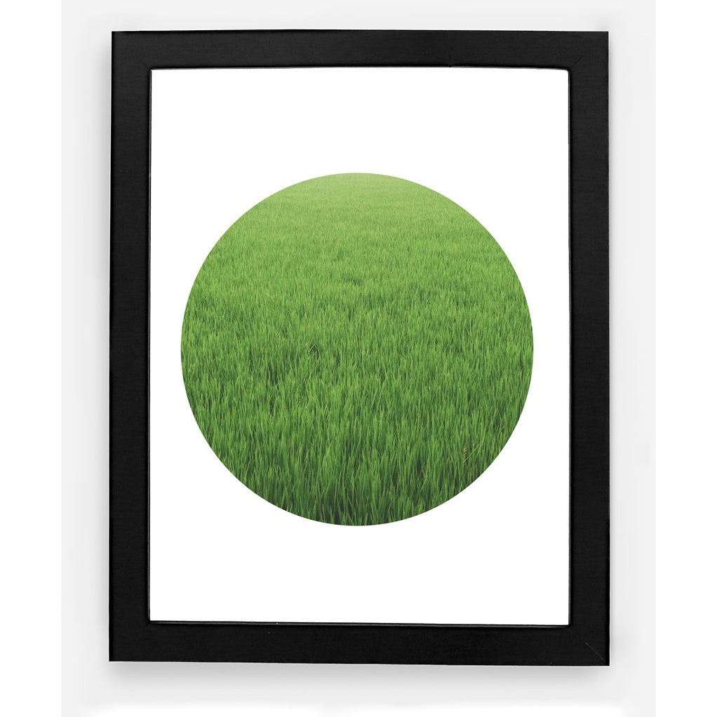 GRASSY ASS