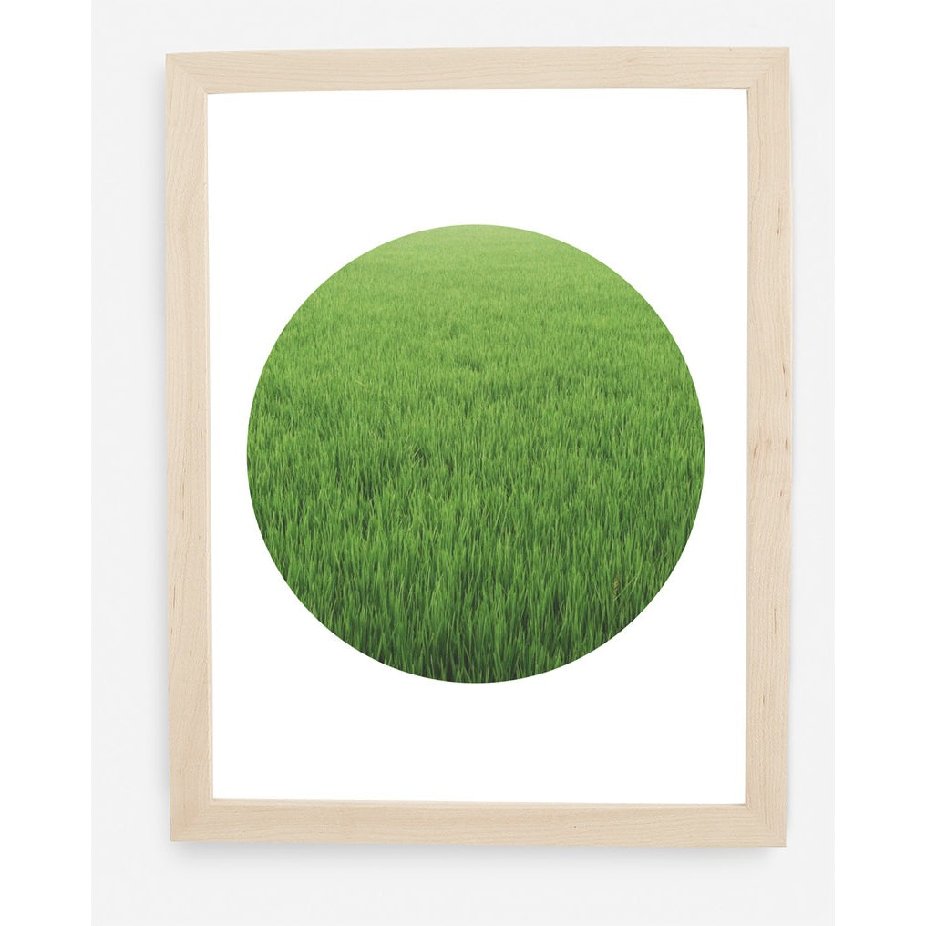GRASSY ASS