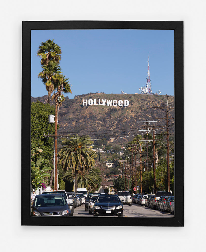 HOLLYWEED