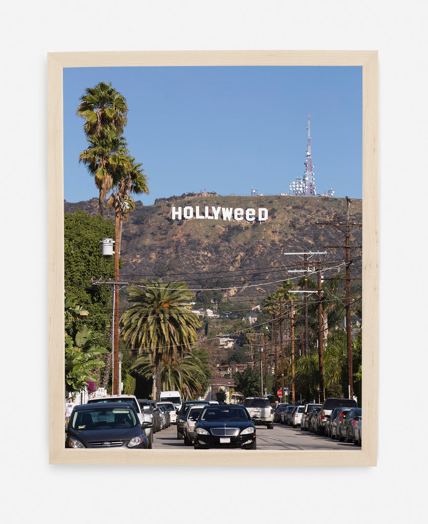 HOLLYWEED