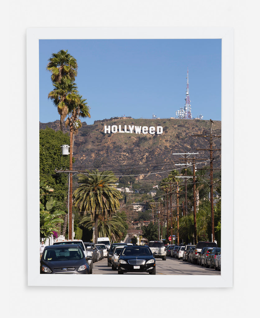 HOLLYWEED