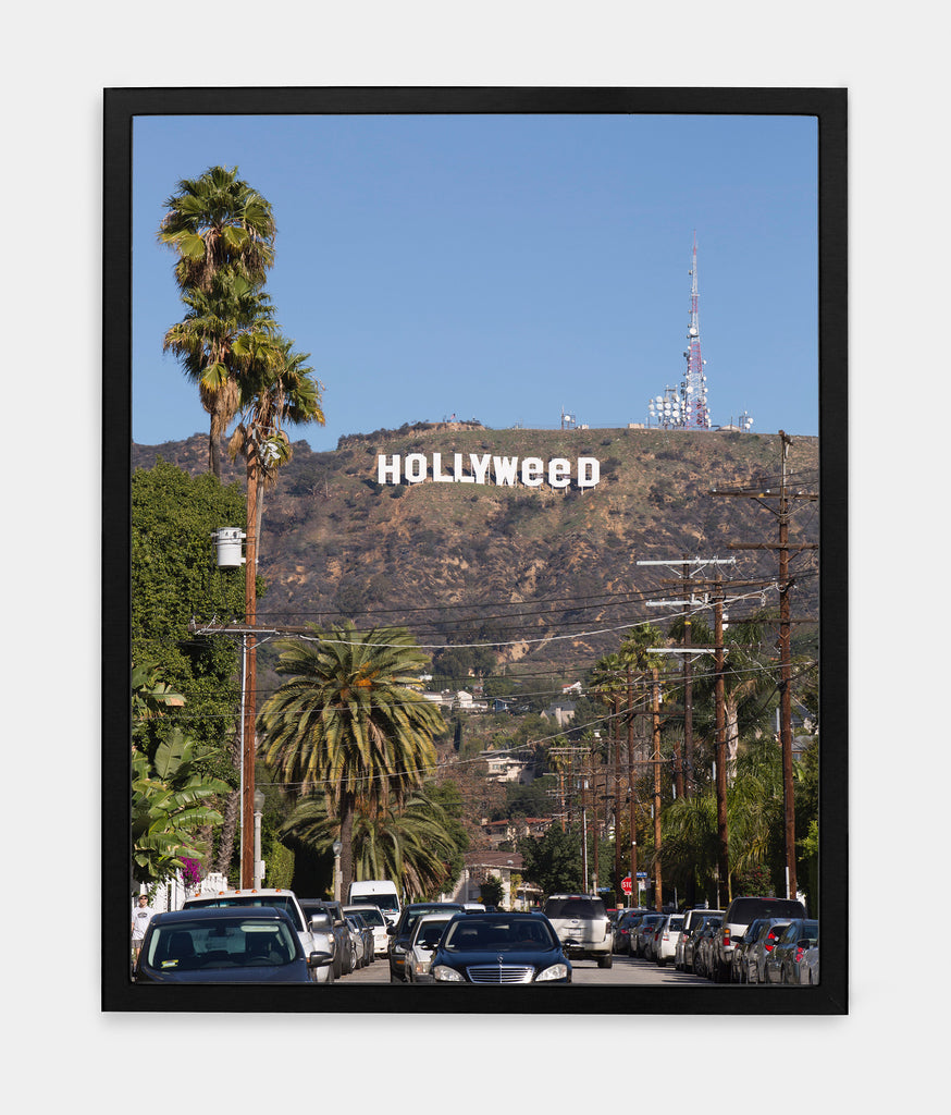 HOLLYWEED