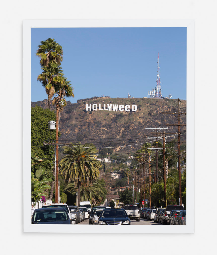 HOLLYWEED