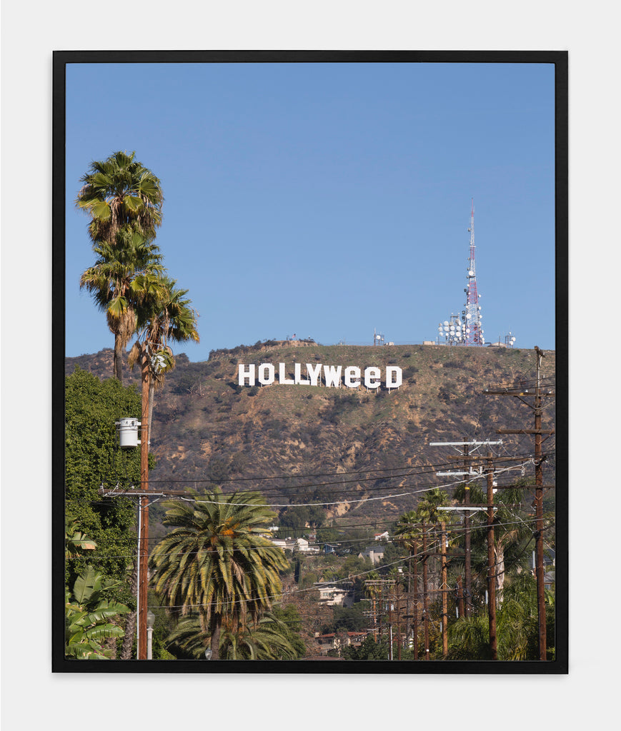 HOLLYWEED