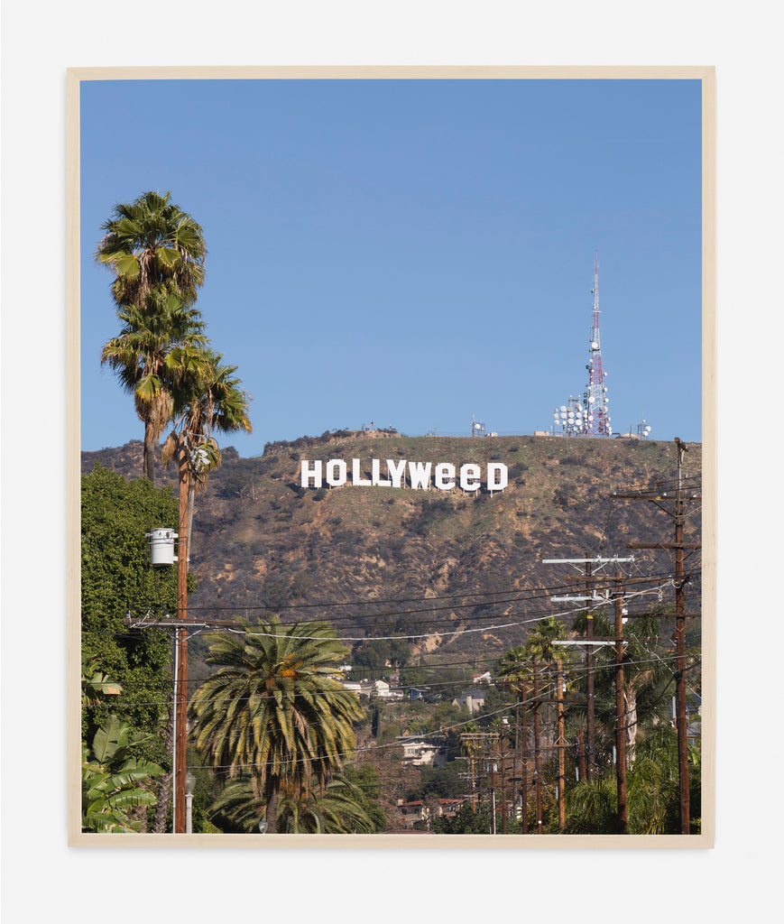 HOLLYWEED