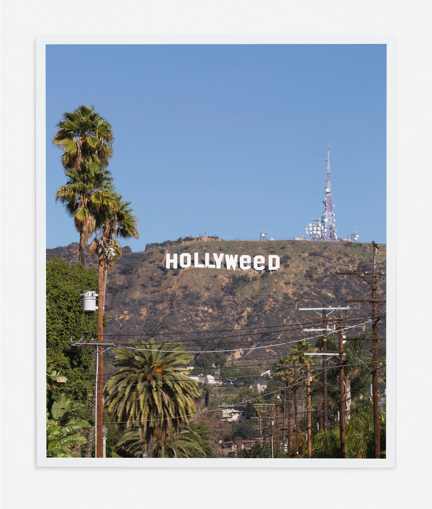 HOLLYWEED