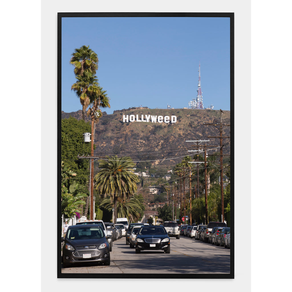 HOLLYWEED