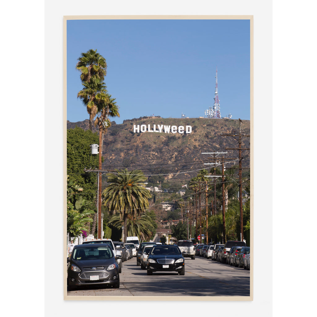 HOLLYWEED