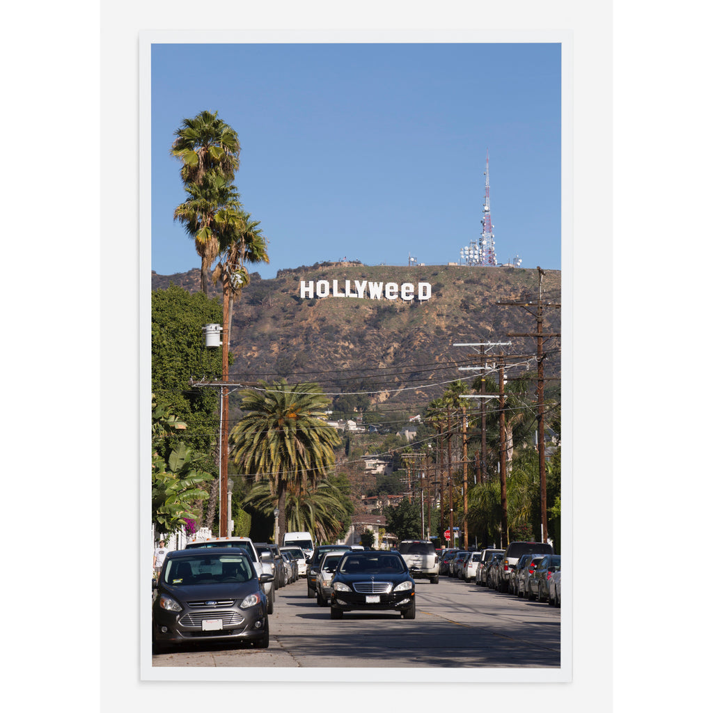HOLLYWEED