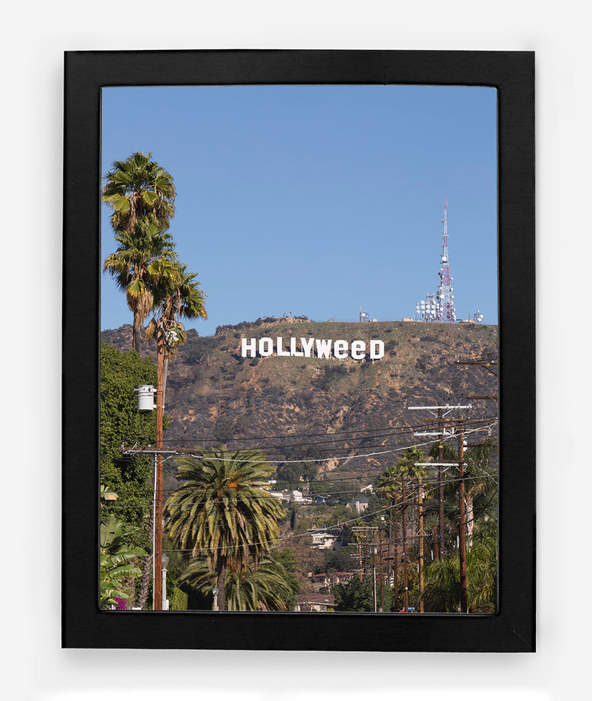 HOLLYWEED
