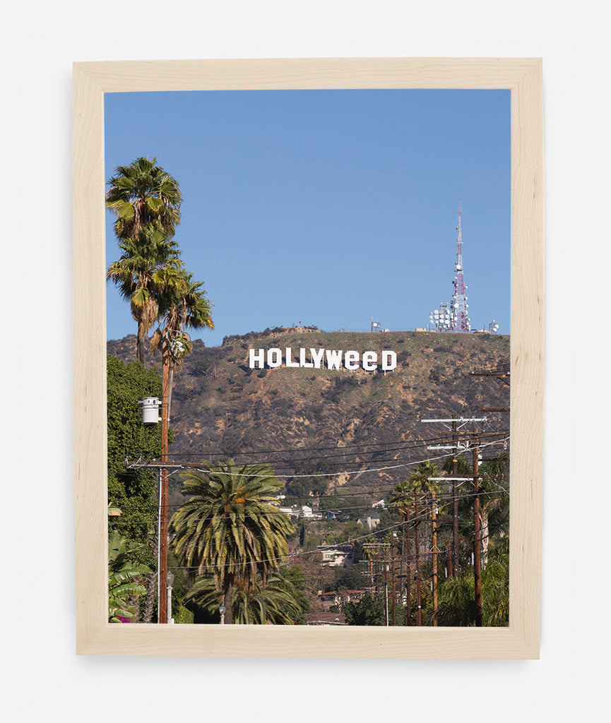 HOLLYWEED