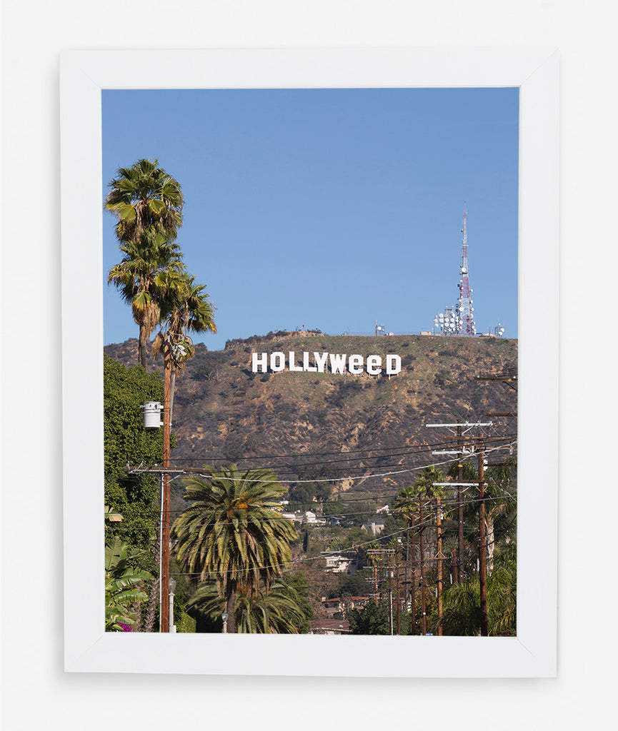 HOLLYWEED