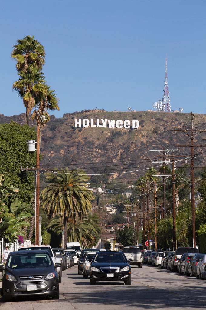 HOLLYWEED