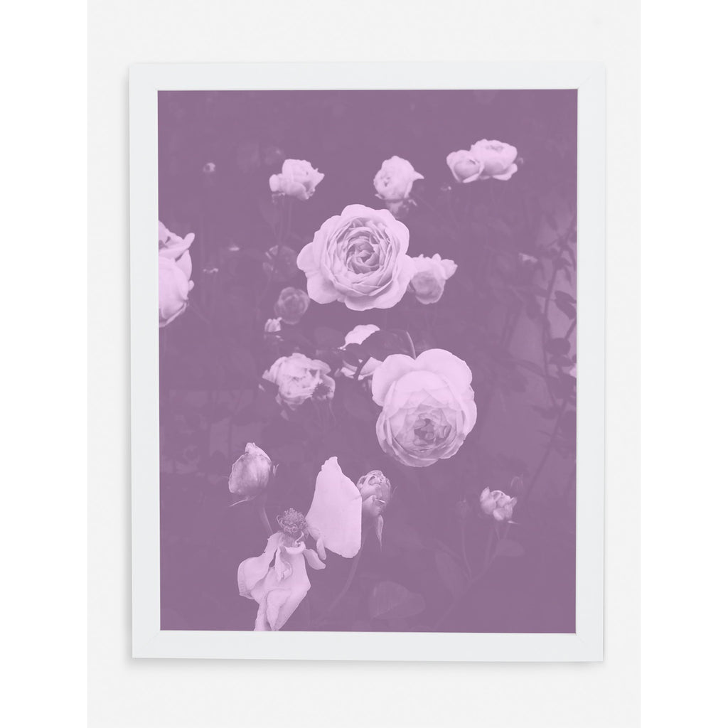 BLUSH BLOOMS