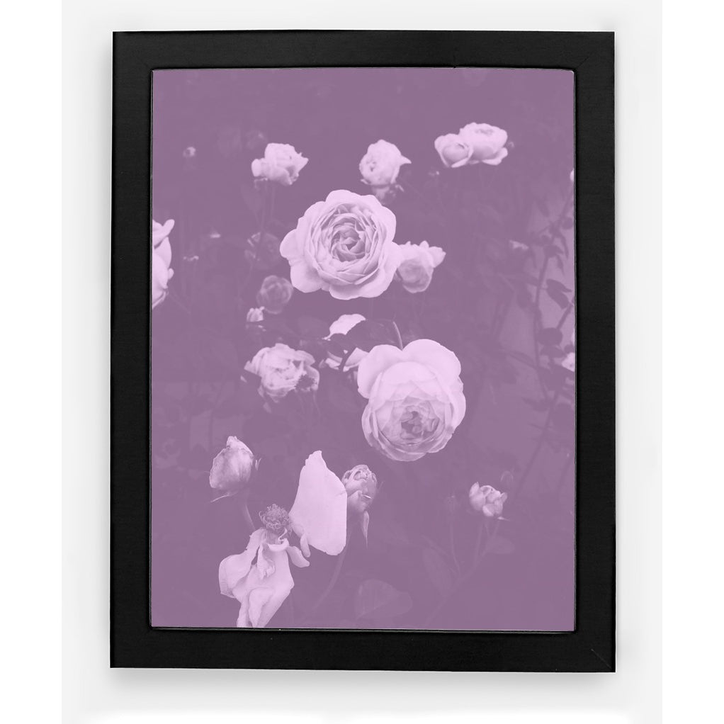 BLUSH BLOOMS