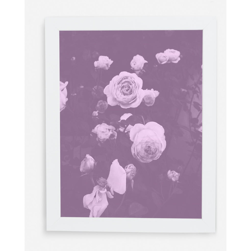 BLUSH BLOOMS